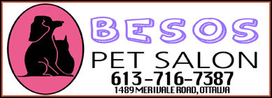 Besos Pet Salon