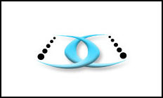 Chromium IT Solutions Ottawa