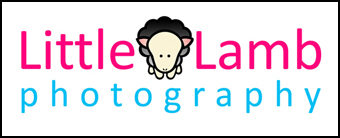 Little Lamb Photography Ottawa
