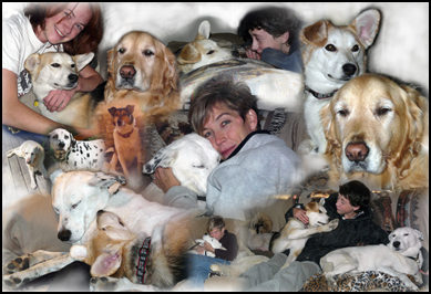 Ottawa Video Productions