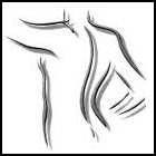 Home Massage Services Ottawa