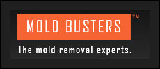Mold Busters Ottawa Mold Removal