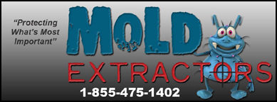 Mold Extractors Ottawa