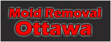 Mold Removal Ottawa