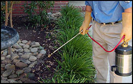 Pest Control