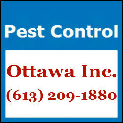 Pest Control Ottawa