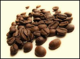 Simply Fresh Roastery Coffee Ottawa