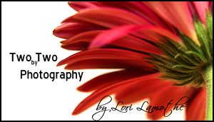 2x2 Photography Ottawa