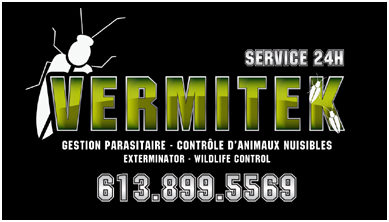 Vermitek Pest and Wildlife Control Ottawa